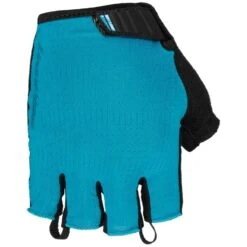 Lizard Skins Aramus Apex Gloves - Polar Blue